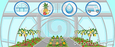 Harvesting in Greenhouse. Vector Flat Illustration Vector Illustration