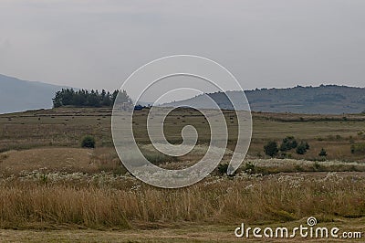 Harvesting hay tractor work on field make haystacks, Plana mountain Stock Photo