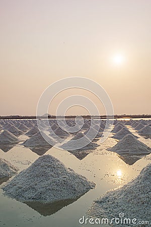 Harvesting salt in salt farm petchaburi thailand Stock Photo