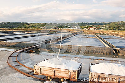 Harvesting sea salt at Secovlje salt plants, Stock Photo