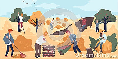 Harvesting season at farm, farming people working on field Vector Illustration