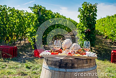 Harvesting season traditional Romanian food plate with cheese, b Stock Photo