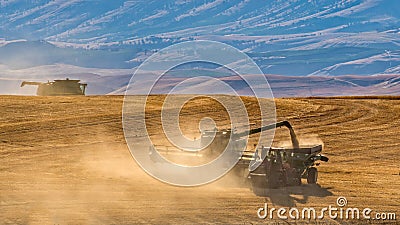 Harvesting the Wheat in a Dusty Field Stock Photo