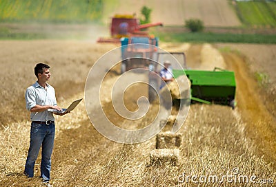 Harvesting Stock Photo