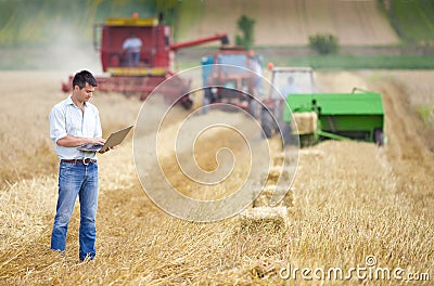 Harvesting Stock Photo