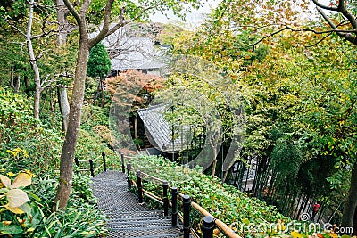 Hasedera temple nature garden in Kamakura, Japan Stock Photo