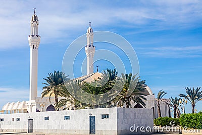 Hassan Enany golden domed mosque with palms in foreground, Jeddah Stock Photo