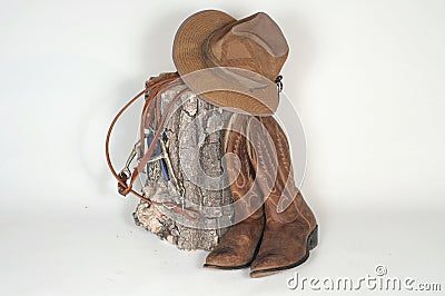 Hat, Boots and Reins w/stump Stock Photo