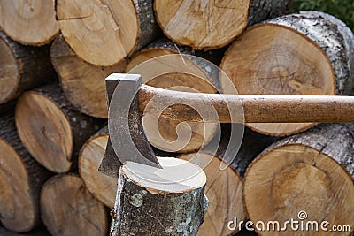 Hatchet or axe for chopping wood logs is ready for cutting timbe Stock Photo