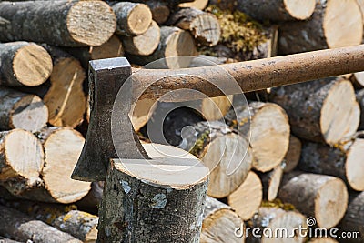 Hatchet or axe for chopping wood logs is ready for cutting timbe Stock Photo