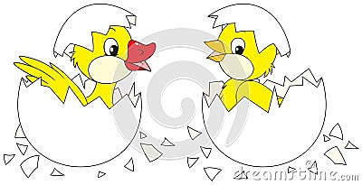 Hatching chick and duckling Vector Illustration