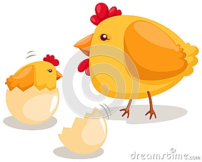 Hatching chicken Vector Illustration