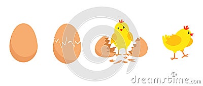 Hatching cute chicks and cute boy Vector Illustration