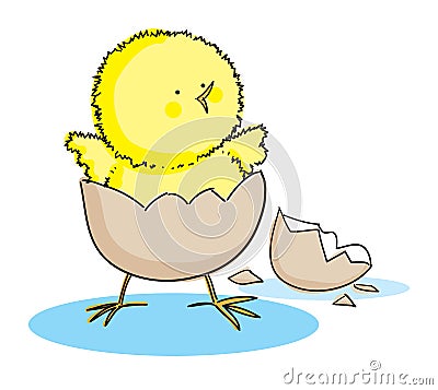 Hatching Easter Chick Vector Illustration