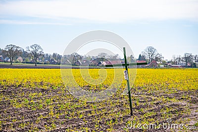 Hatten, germany 04/16/2020: A cross on the rapeseed field signals the annoyance of the farmers against laws Stock Photo