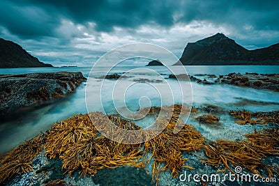 Haukland beach on Lofoten islands in Norway Stock Photo