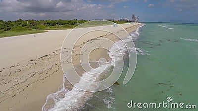 Haulover Beach Miami 4k stock footage. Video of jetty - 46673404