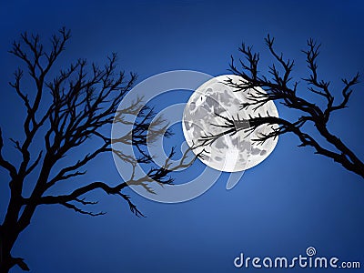 A hauntingly beautiful Halloween tree against a moonlit sky, on a bewitching winter night. Stock Photo