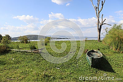 Green Abandoned Boats trapped in Hyacinth, Lake Naivasha Kenya – Eco Crisis Editorial Stock Photo