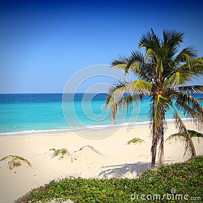 Havana Riviera Stock Photo