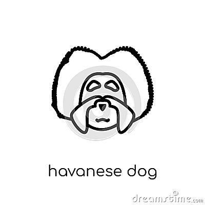 Havanese dog icon. Trendy modern flat linear vector Havanese dog Vector Illustration