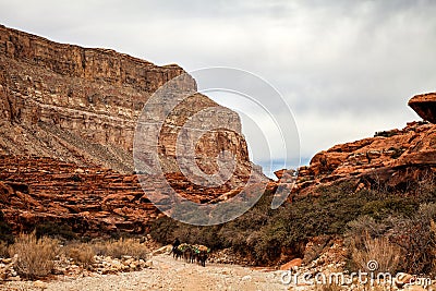 Havasupai Trail near Supai Arixona Stock Photo