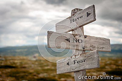 have no fear text engraved on old wooden signpost outdoors in nature Cartoon Illustration
