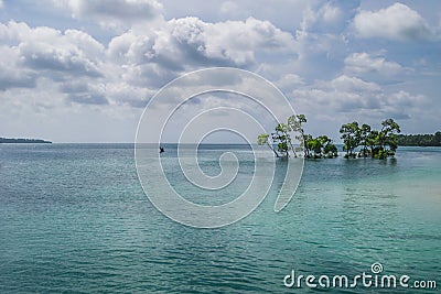 Havelock Island Stock Photo