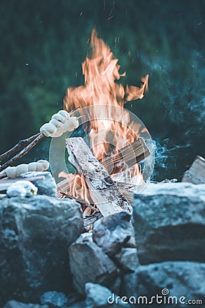 Baking bread over the fire: Barbecue outdoors with a bonfire Stock Photo