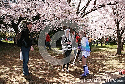 Having fun under the Cherry Blossom trees Editorial Stock Photo