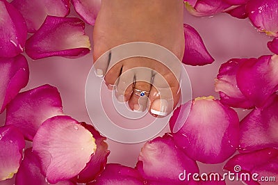 Having spa treatment with mineral water and bright colored lilac-pink rose petals Stock Photo