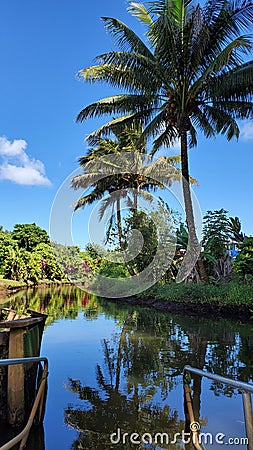 HAWAI Kauai paradise nature landscape beautiful scene Stock Photo