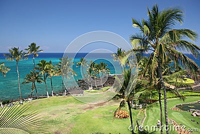 Hawaii Kona Beach Stock Photo