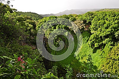 Hawaii Natural Scenery with Waterfall Stock Photo