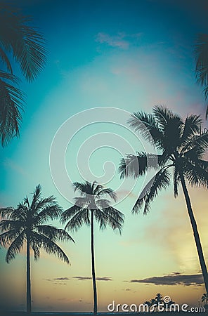 Hawaii Retro Sunset Palm Trees Stock Photo