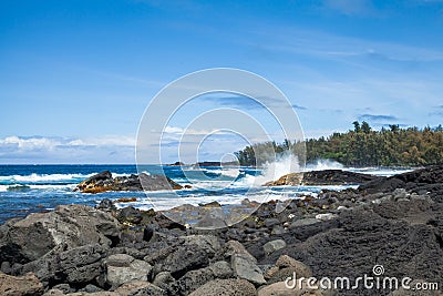 Hawaii`s Lava Rock Coast with Tropical Rainforest Stock Photo