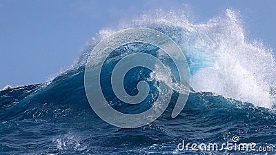 Hawaii's tropical blue ocean waves Stock Photo