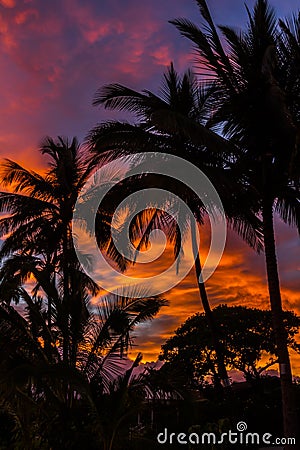 Hawaii sunrise Stock Photo