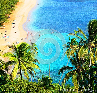Hawaiian beach scene Stock Photo