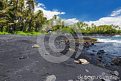 Hawaiian green turtles relaxing at Punaluu Black Sand Beach on the Big Island of Hawaii Stock Photo