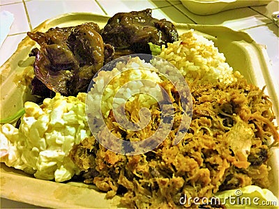 Hawaiian Kalua Pork Plate Lunch Stock Photo