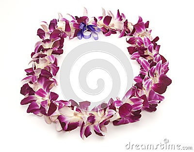 Hawaiian Lei Stock Photo