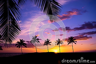 Hawaiian palm tree sunset Stock Photo