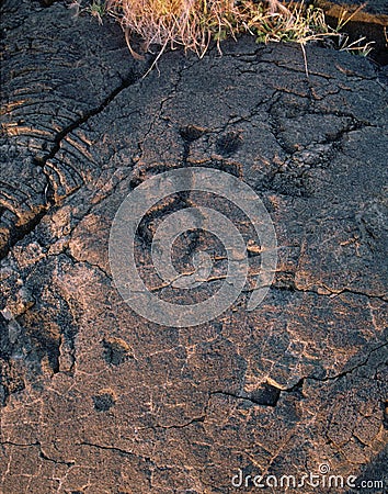 Hawaiian petroglyph Stock Photo