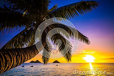 Hawaiian Sunrise Stock Photo