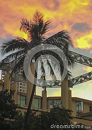 Hawaiian sunrise over palm tree and buildings Stock Photo