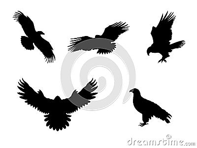 Hawk Eagle Falcon Orlan. Silhouettes predator birds Vector Illustration