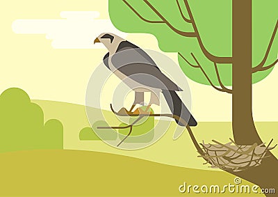 Hawk eagle tree branch nest flat cartoon vector wild animal bird Vector Illustration