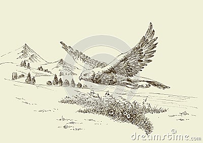 Hawk flying in natural landscape Vector Illustration