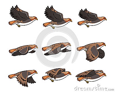 Hawk Flying Sprite Vector Illustration